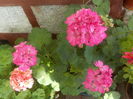 DSCN0531[1]