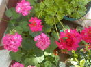 DSCN0530[1]
