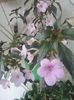20160702_185623