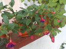 DSCN0464[1]