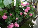 DSCN1464