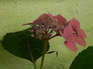 DSCN1476
