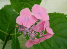 DSCN1477