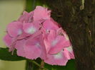 DSCN1488