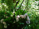 DSCN1491