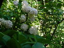 DSCN1493