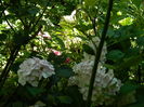 DSCN1497