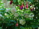 DSCN1498