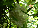 DSCN1527
