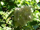 DSCN1528