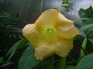 DSCN1543