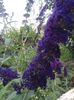 20160702_175724