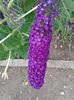 20160702_175653
