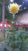 WP_20160702_16_50_39_Pro