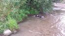 20160702_175951