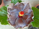 DSC04380