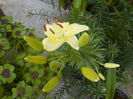 DSCN0538[1]