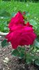 WP_20160703_11_35_21_Pro