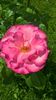 WP_20160703_11_34_13_Pro