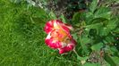 WP_20160703_11_34_00_Pro
