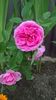 WP_20160703_13_29_23_Pro
