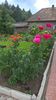 WP_20160703_13_28_51_Pro