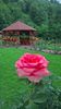 WP_20160703_13_28_05_Pro