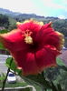 IMG_20160703_122354