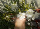DSCN0549[1]