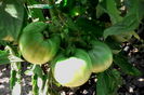 IMG_20160703_152219