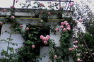 IMG_20160703_162630
