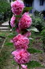 IMG_20160703_162323