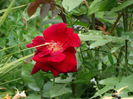 DSC08759