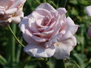 DSC08706
