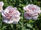 DSC08707