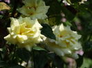 DSC08748