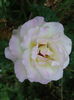 DSC08659