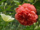 DSC08641