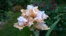 WP_20160703_068