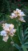 WP_20160703_069