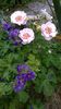 WP_20160702_127