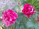 IMG_20160517_192646