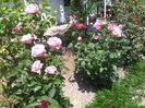 IMG_20160531_123834