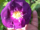IMG_20160611_115402