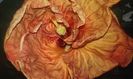 20160704_090226