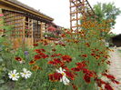 IMG_1225