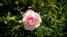 IMG_20160704_185613