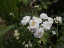 DSCN5606