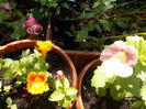 DSCN5614