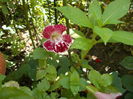 DSCN5615